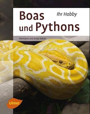 Boas und Pythons