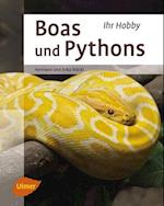 Boas und Pythons