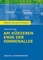 Am kürzeren Ende der Sonnenallee. Textanalyse und Interpretation zu Thomas Brussig