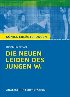 Die neuen Leiden des jungen W. von Ulrich Plenzdorf. Textanalyse und Interpretation