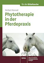Phytotherapie in der Pferdepraxis