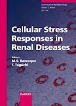 Cellular Stress Responses in Renal Disease