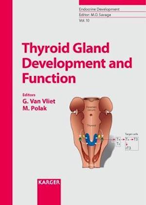 Thyroid Gland Development and Function