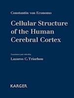 Cellular Structure of the Human Cerebral Cortex