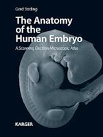 Anatomy of the Human Embryo