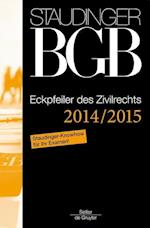 Staudinger Komm. BGB - Eckpfeiler Zivilrecht 2014/15