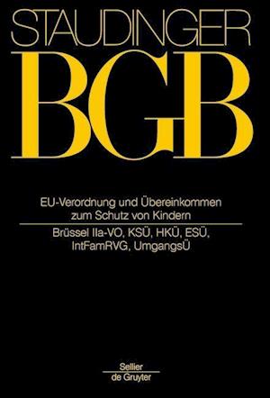 EU-Verordnungen und Übereinkommen zum Schutz von Kindern (Brüssel IIa-VO, KSÜ, HKÜ, ESÜ, IntFamRVG, UmgangsÜ)