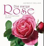 Die ewige Rose