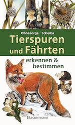 Tierspuren und Fährten erkennen & bestimmen