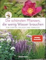 Die schönsten Pflanzen, die wenig Wasser brauchen für Garten, Balkon und Terrasse - 66 trockenheitsverträgliche Stauden, Sträucher, Gräser und Blumen, die heiße Sommer garantiert überleben