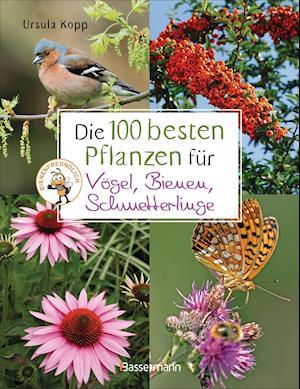 Die 100 besten Pflanzen für Vögel, Bienen, Schmetterlinge