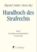 Handbuch des Strafrechts 08