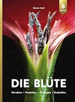 Die Blüte