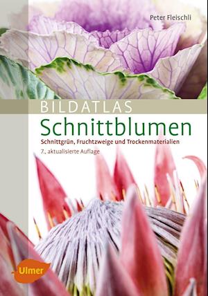 Bildatlas Schnittblumen