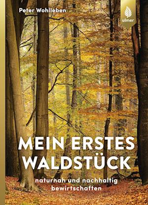 Mein erstes Waldstück