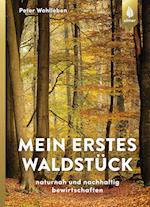 Mein erstes Waldstück