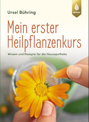 Mein erster Heilpflanzen-Kurs