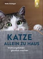 Katze allein zu Haus