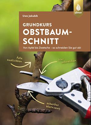 Grundkurs Obstbaumschnitt