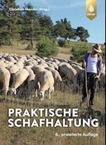 Praktische Schafhaltung