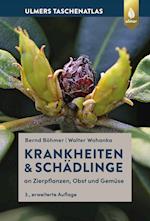 Krankheiten & Schädlinge an Zierpflanzen, Obst und Gemüse