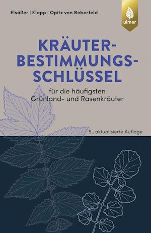 Kräuterbestimmungsschlüssel für die häufigsten Grünland- und Rasenkräuter