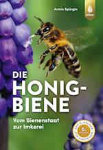 Die Honigbiene