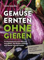 Gemüse ernten ohne gießen