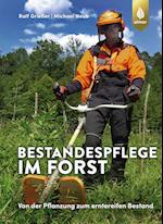 Bestandespflege im Forst