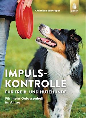 Impulskontrolle für Treib- und Hütehunde