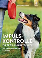 Impulskontrolle für Treib- und Hütehunde