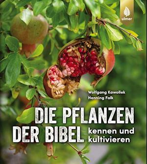 Die Pflanzen der Bibel