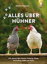 Alles über Hühner