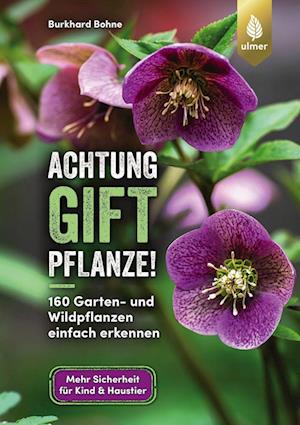 Achtung, Giftpflanze!