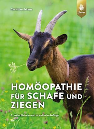 Homöopathie für Schafe und Ziegen