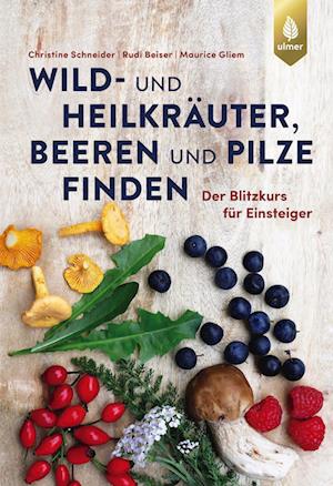 Wild- und Heilkräuter, Beeren und Pilze finden