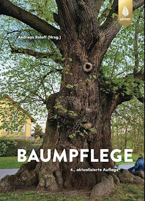 Baumpflege