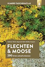 Flechten und Moose