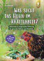 Was sucht das Huhn im Kräuterbeet?