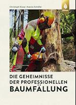 Die Geheimnisse der professionellen Baumfällung