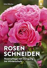 Rosen schneiden