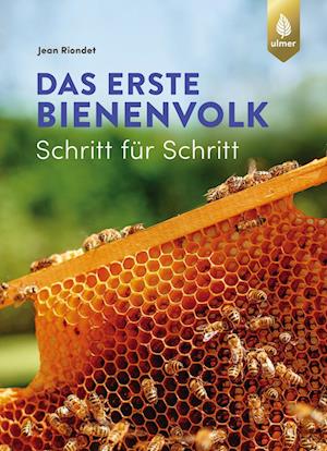 Das erste Bienenvolk  - Schritt für Schritt