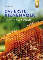 Das erste Bienenvolk  - Schritt für Schritt