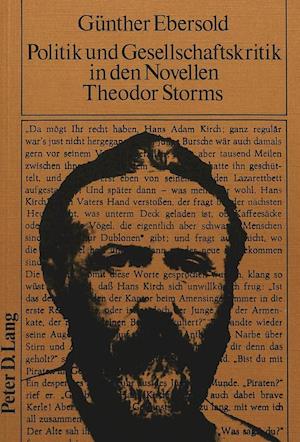 Politik Und Gesellschaftskritik in Den Novellen Theodor Storms