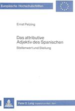 Das Attributive Adjektiv Des Spanischen