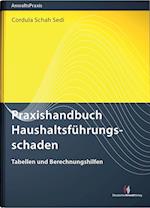 Praxishandbuch Haushaltsführungsschaden