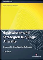 Basiswissen und Strategien für junge Anwälte