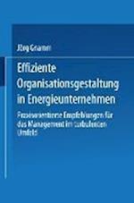 Effiziente Organisationsgestaltung in Energieunternehmen