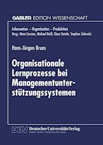 Organisationale Lernprozesse bei Managementunterstützungssystemen