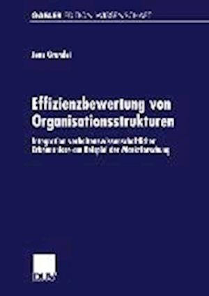 Effizienzbewertung von Organisationsstrukturen